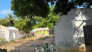 யாழ்ப்பாணத்தில் காணி விற்பனைக்கு