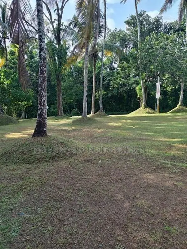 Gated Community Lands for Sale in Homagama Pitipana