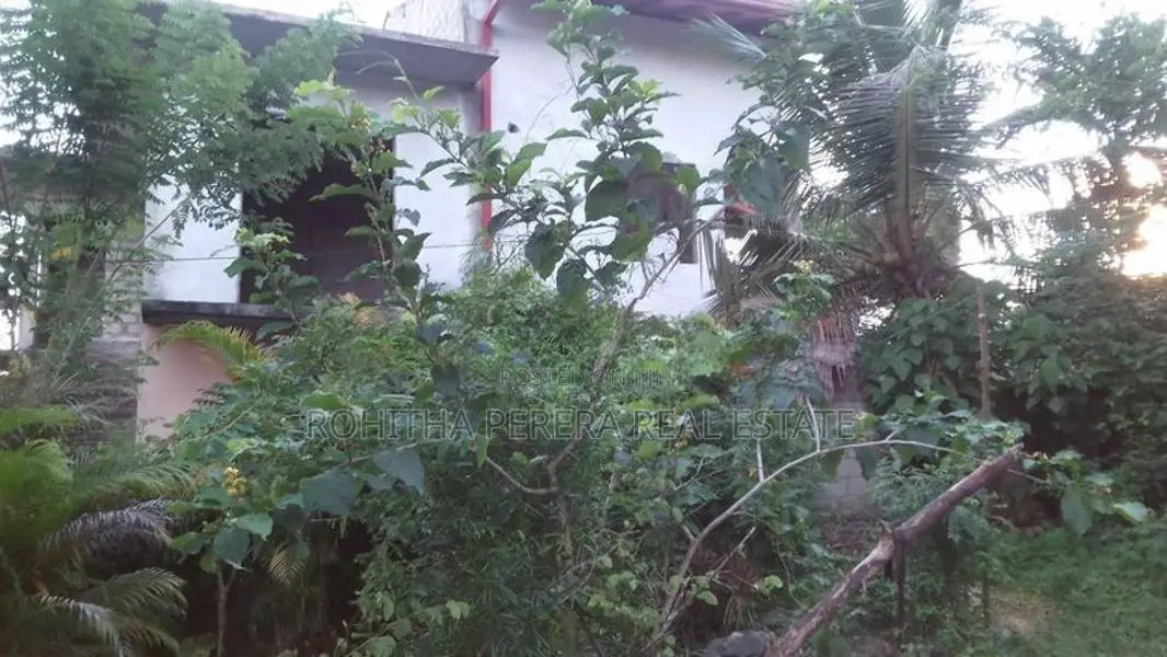14.8 Perchland with Small House Maharagama