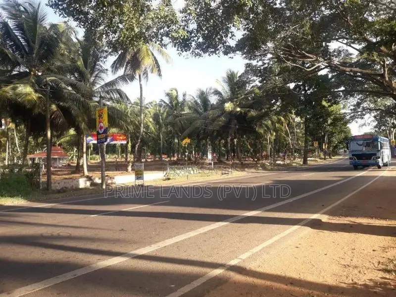 ව්‍යාපාරික බිම් කොටසක් විකිනීමට බලල්ල