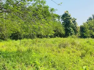 Land for sale Weherayaya, Ethiliwewa