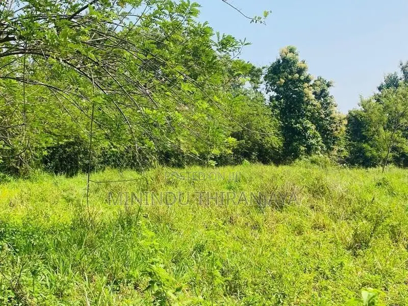 Land for sale Weherayaya, Ethiliwewa