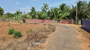 Land for Sale Jaffna