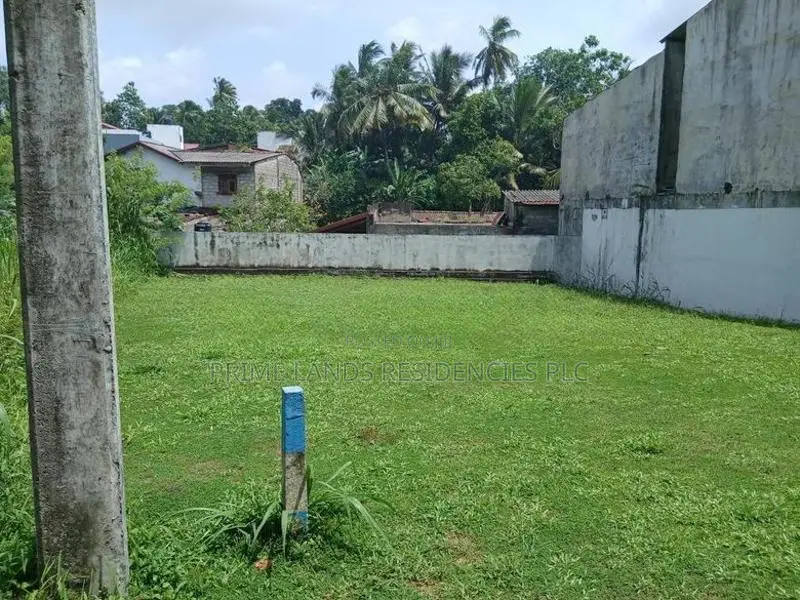 Land for Sale in Near the Boralasgamuwa