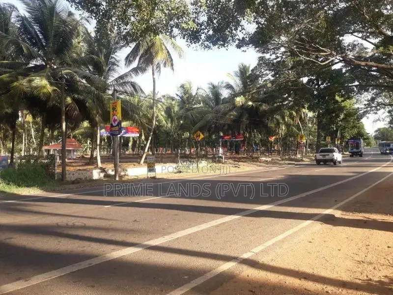 ව්‍යාපාරික බිම් කොටසක් විකිනීමට බලල්ල