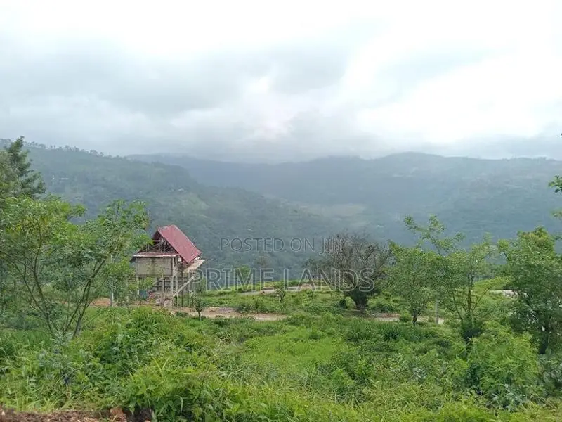 Land for sale Nuwara