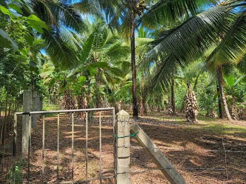 නිට්ටඹුව – වතුපිටිවල පර්චස් 35 ඉඩමක්