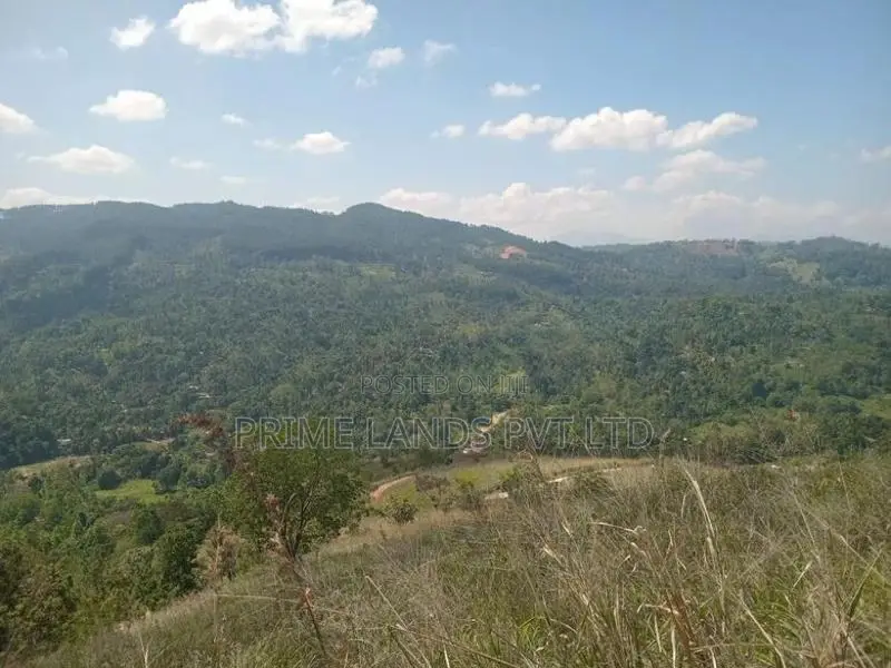 Nilamba Land Sale