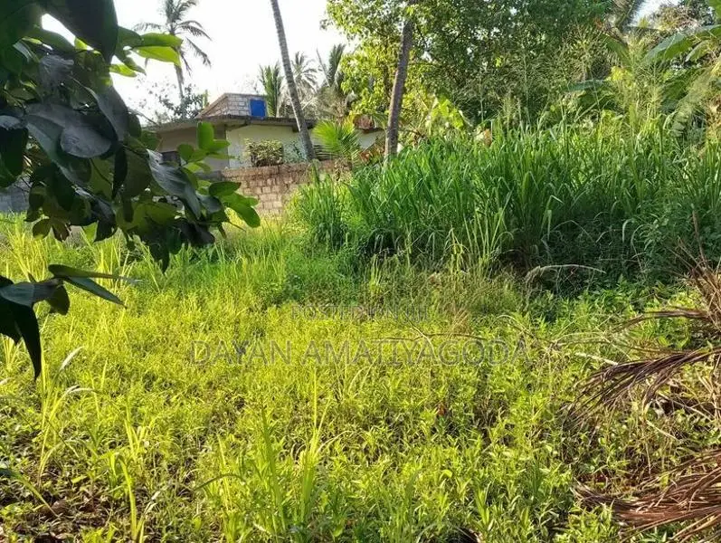 Prime Residential Plot in Tangalle