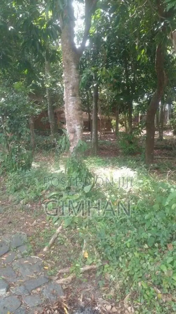 2 Storied House With Super Land For Sale Piliyandala