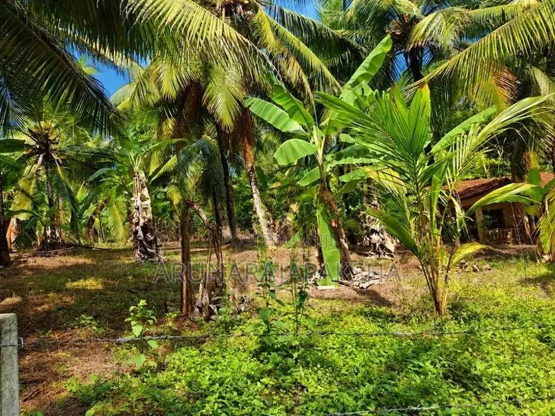 නිට්ටඹුව – වතුපිටිවල පර්චස් 35 ඉඩමක්
