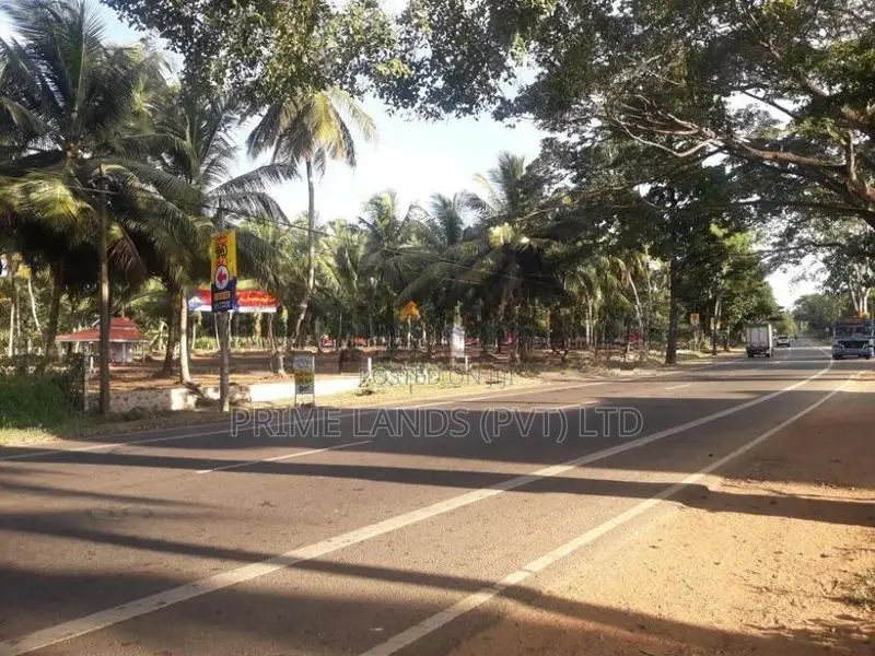 ව්‍යාපාරික බිම් කොටසක් විකිනීමට බලල්ල