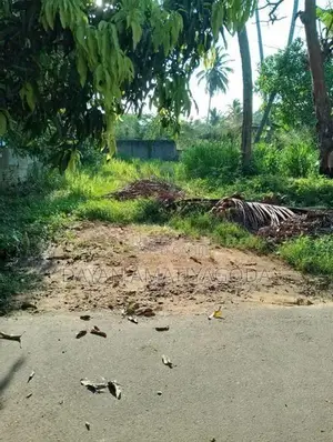 Prime Residential Plot in Tangalle