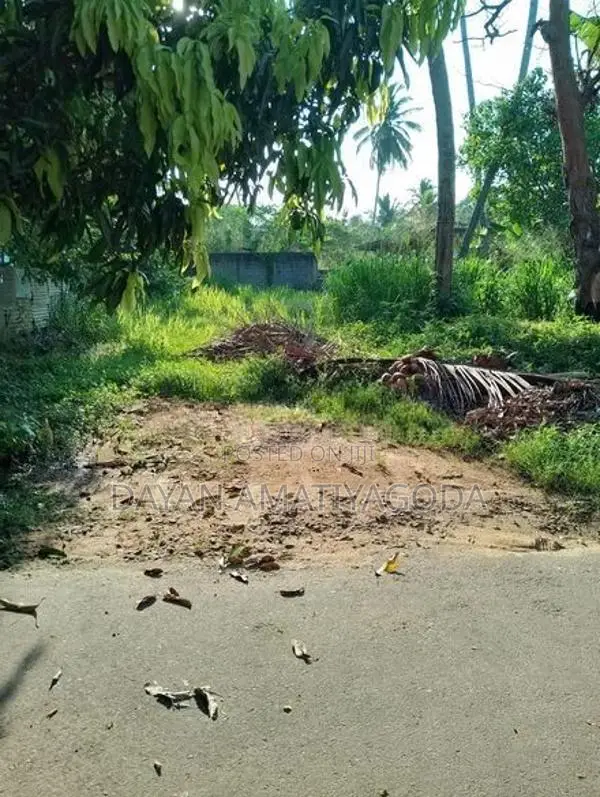 Prime Residential Plot in Tangalle