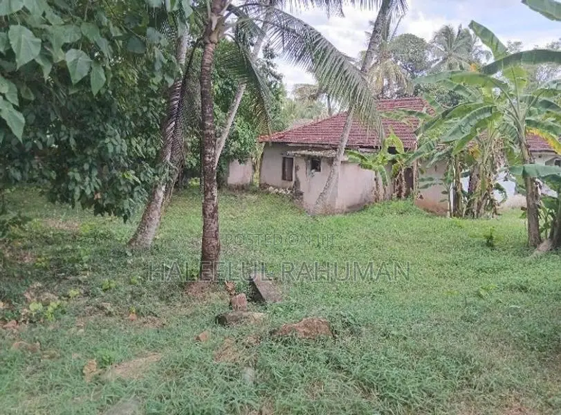 Land with House for Sale Thorayaya