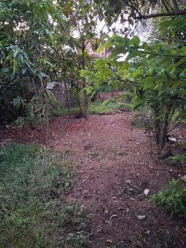 House with Land for Sale Koralawella