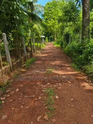 නිට්ටඹුව – වතුපිටිවල පර්චස් 35 ඉඩමක්