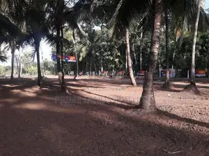 ව්‍යාපාරික බිම් කොටසක් විකිනීමට බලල්ල