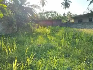 Prime Residential Plot in Tangalle