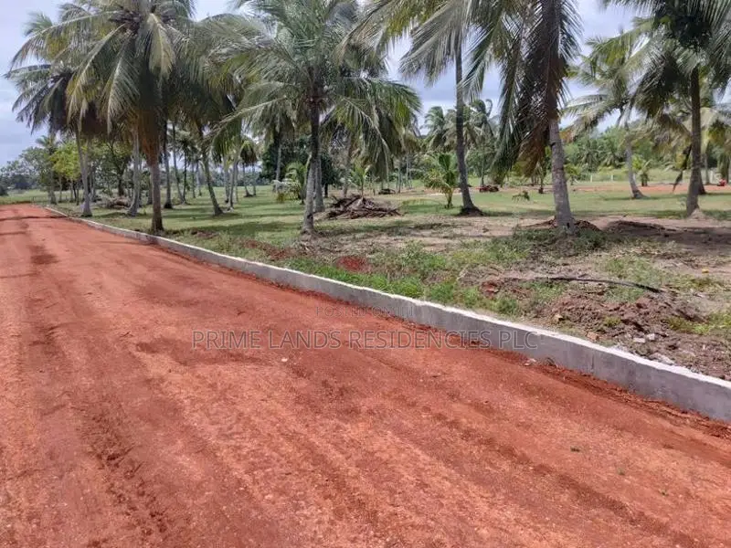 අනුරාධපුර නාච්චාදූවෙන් සින්නක්කර බිම්කොටස් විකිණීමට