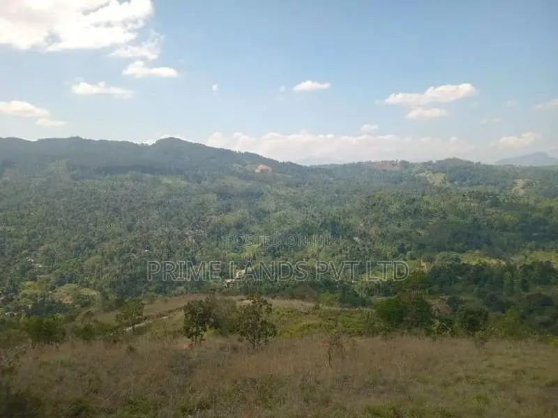 Nilamba Land Sale