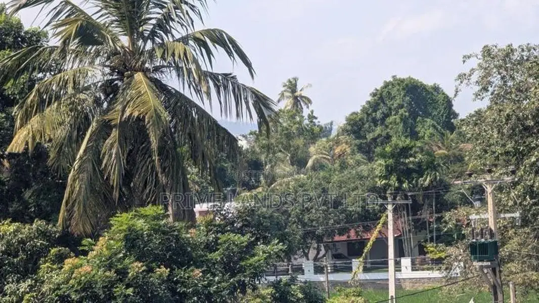 Kurunegala Ibbagamuwa A6 Road Facing Lands for Sale