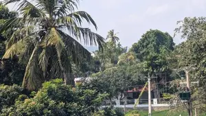 Kurunegala Ibbagamuwa A6 Road Facing Lands for Sale