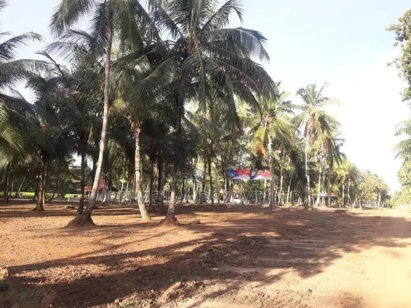 ව්‍යාපාරික බිම් කොටසක් විකිනීමට බලල්ල