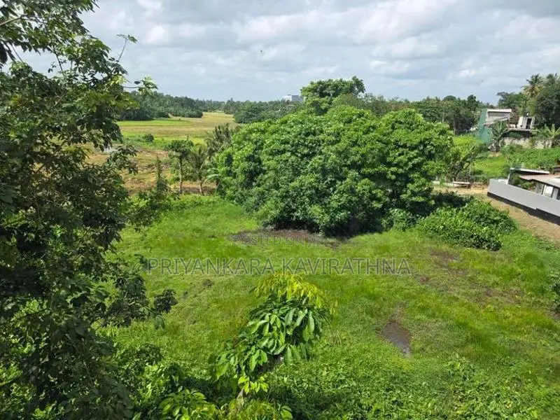 මනරම් වෙල්යායකට මුහුණලා පිහිටි අලුත්ම තෙමහල් නිවස විකිනීමට - කැස්බෑව
