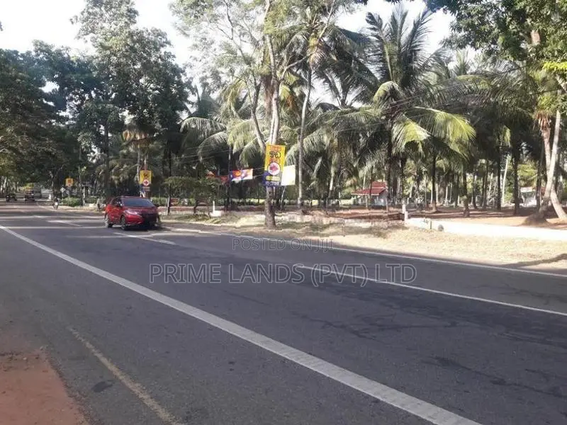ව්‍යාපාරික බිම් කොටසක් විකිනීමට බලල්ල