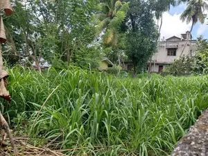Excellent Land for Sale Borelesgamuwa