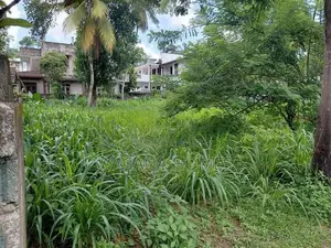 Excellent Land for Sale Borelesgamuwa