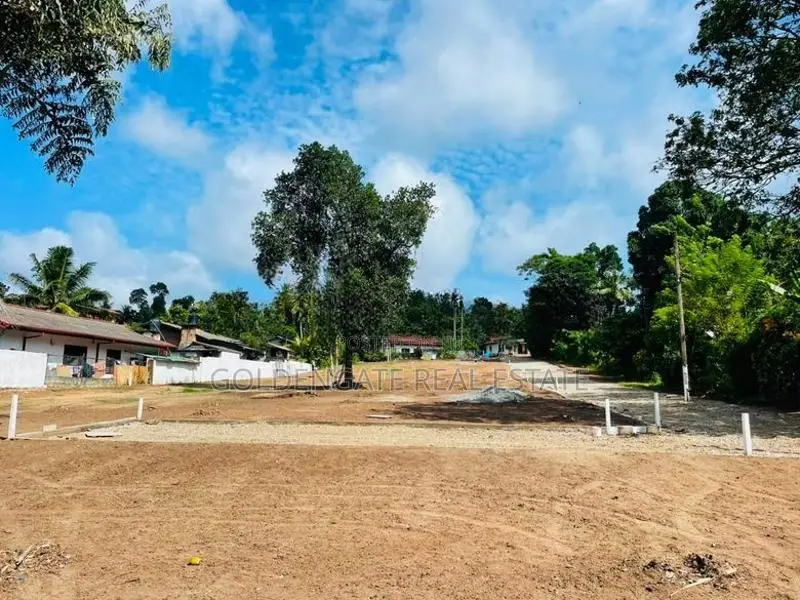 Udugampola Best Land Sale Near 244 Rode