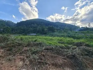 Flat Land For Sale In Bandarawela