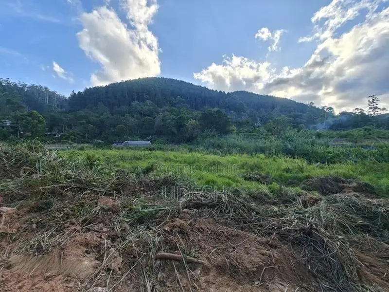 Flat Land For Sale In Bandarawela