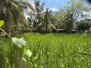 23 Perches Land for Sale in Madiwela
