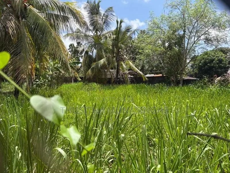 23 Perches Land for Sale in Madiwela