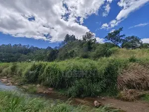 Flat Land For Sale In Bandarawela