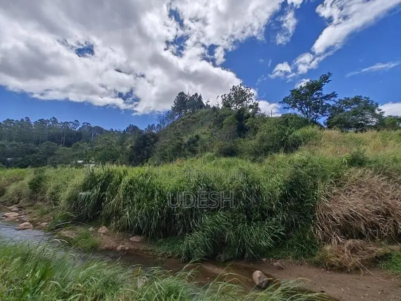 Flat Land For Sale In Bandarawela