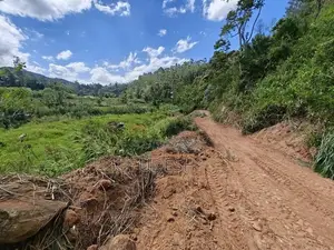 Flat Land For Sale In Bandarawela