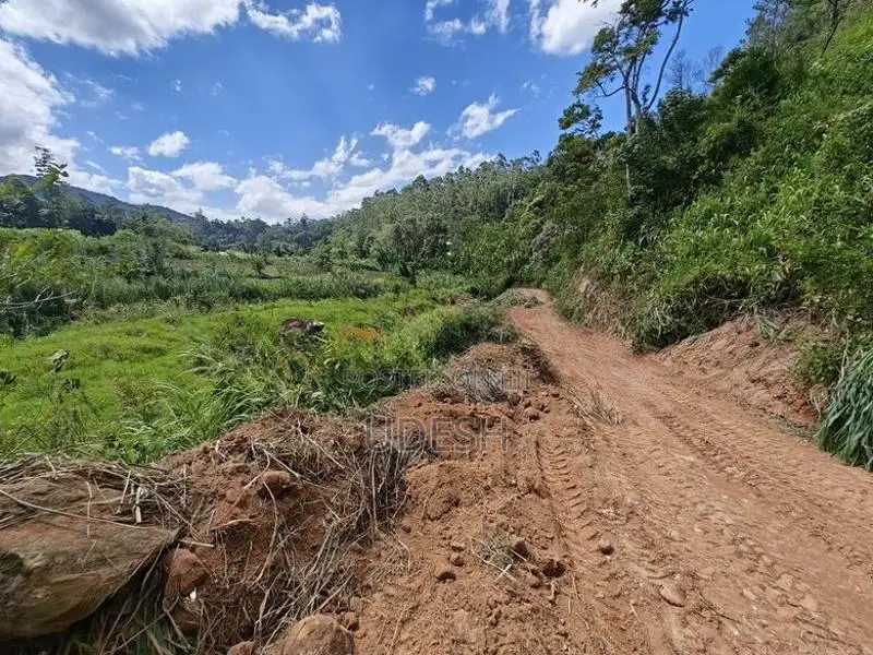 Flat Land For Sale In Bandarawela