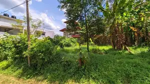 නිට්ටඹුව – මඩුවෙගෙදරින් වටිනා ඉඩමක් / KM 8023