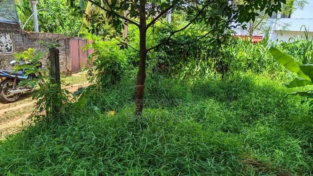 නිට්ටඹුව – මඩුවෙගෙදරින් වටිනා ඉඩමක් / KM 8023