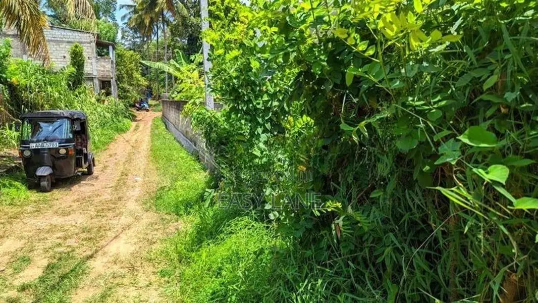 නිට්ටඹුව – මඩුවෙගෙදරින් වටිනා ඉඩමක් / KM 8023
