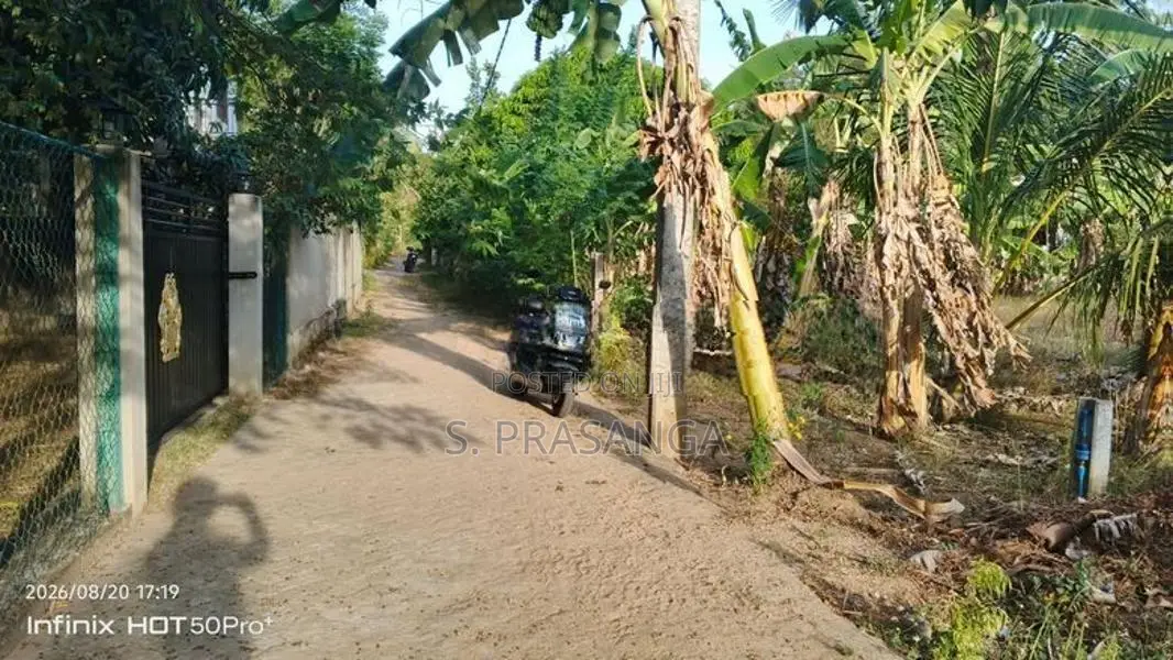 බුත්තල දුටුගැමුණු පාසල් සීමාව තුල පිහිටි ඉඩම විකිනීමට