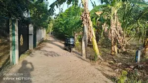 බුත්තල දුටුගැමුණු පාසල් සීමාව තුල පිහිටි ඉඩම විකිනීමට