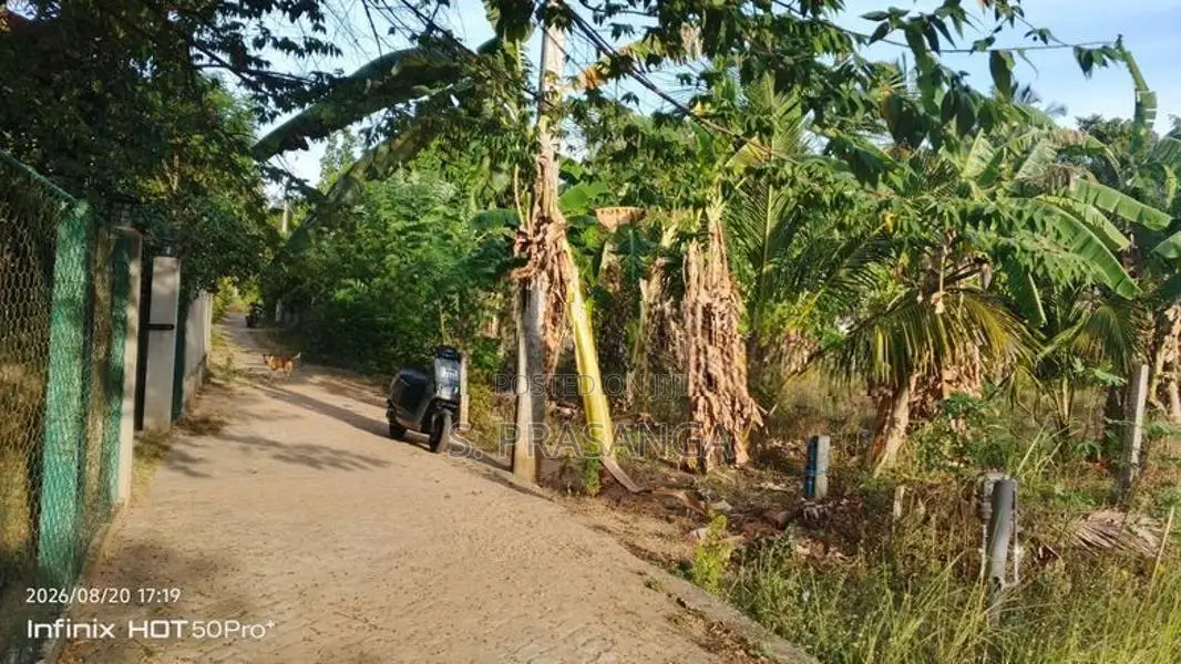 බුත්තල දුටුගැමුණු පාසල් සීමාව තුල පිහිටි ඉඩම විකිනීමට