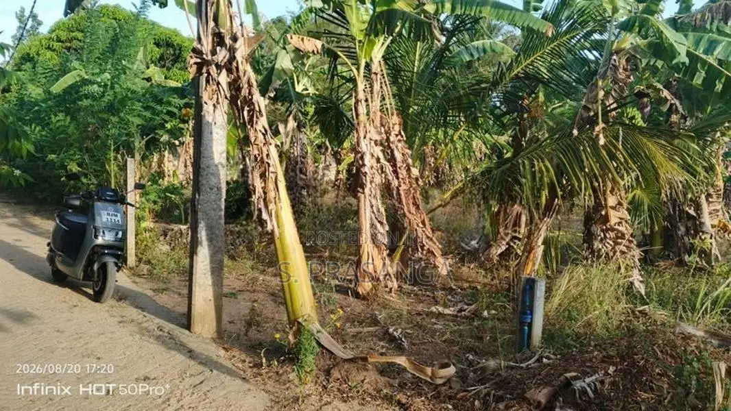 බුත්තල දුටුගැමුණු පාසල් සීමාව තුල පිහිටි ඉඩම විකිනීමට