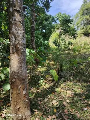 Land for Sale Kandy