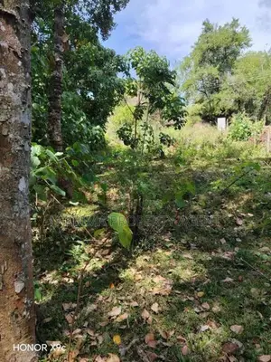 Land for Sale Kandy